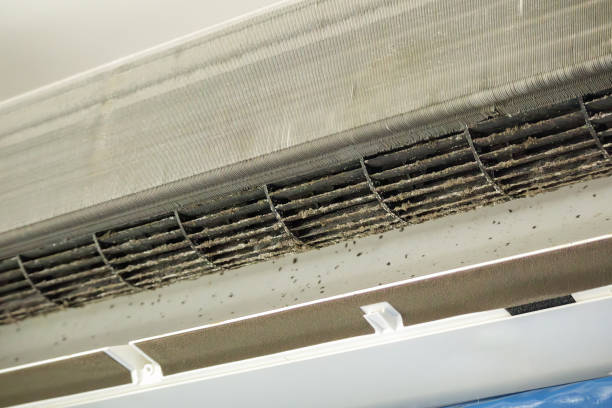 Best Commercial Air Duct Cleaning in Weslaco, TX